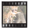 fotokonkPlakat[1]