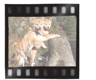 fotokonkPlakat[1]