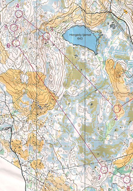 KM langdistanse for Hedmark og Oppland 2009. Kart: Hadeland Orienteringslag.