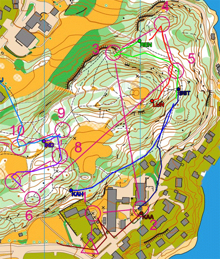 NM Sprint 2010 - Utsnitt av løypa til H21.