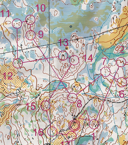 Hadelandsløpet 2010 - Lygna - Utsnitt H21. Hadelandsløpet 2010 - Lygna - Utsnitt H21.