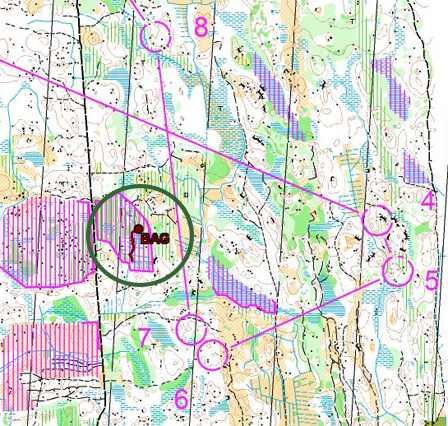 O-Ringen 2010 - Heidi Østlid Bagstevolds GPS-spor.