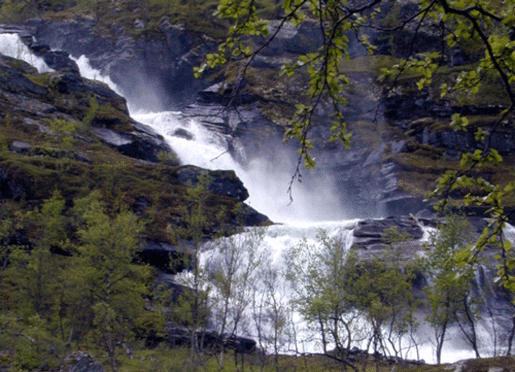 Paraselva. Statskog vil legge denne elva i rør. Foto: Tore Figenschau.