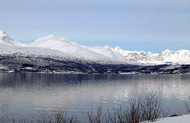 Lyngsalpan. Foto: Tore Figenschau.