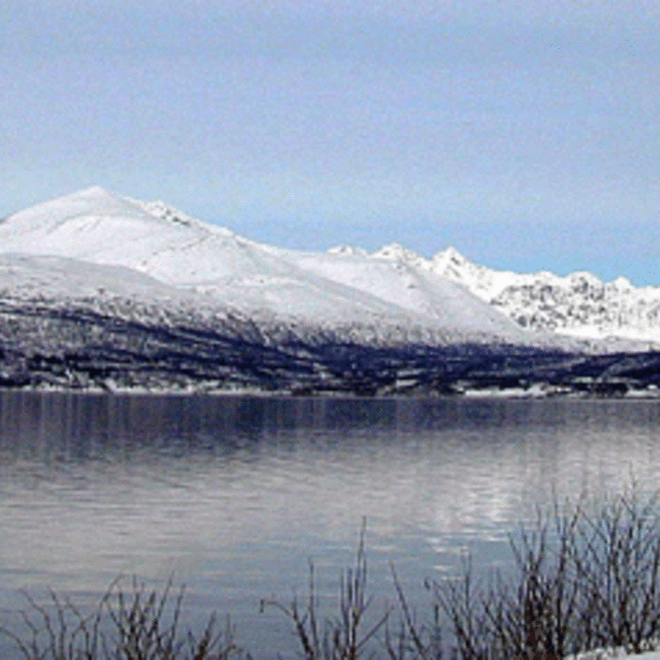 Lyngsalpan. Foto: Tore Figenschau.
