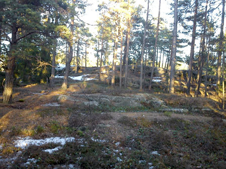 Treningsløp i Sarpsborg lørdag 9. april går i dette terrenget. Arrangørfoto tatt for noen dager siden.