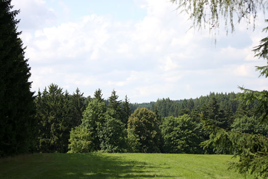 Skog fra langdistansen under VM i Tsjekkia 2008. Foto: Geir Nilsen/OPN.no.