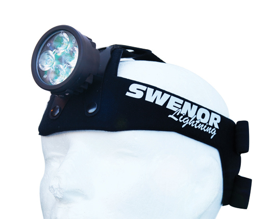 Swenor Lightning F1