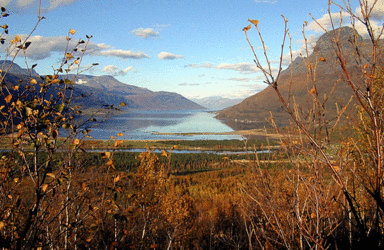 storfjorden-fra-Fallstokkbakken