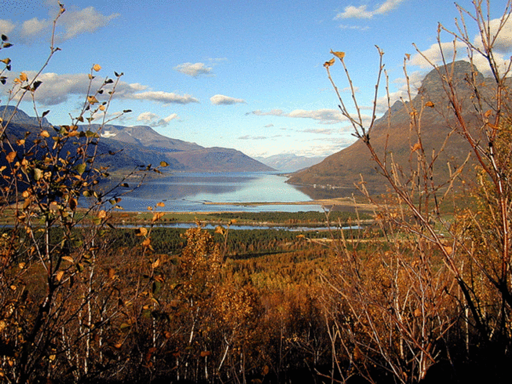 storfjorden-fra-Fallstokkbakken