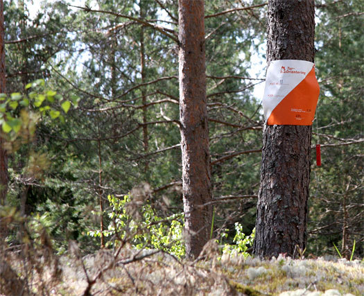 Turorienteringspost. Foto: Geir Nilsen/OPN.no.