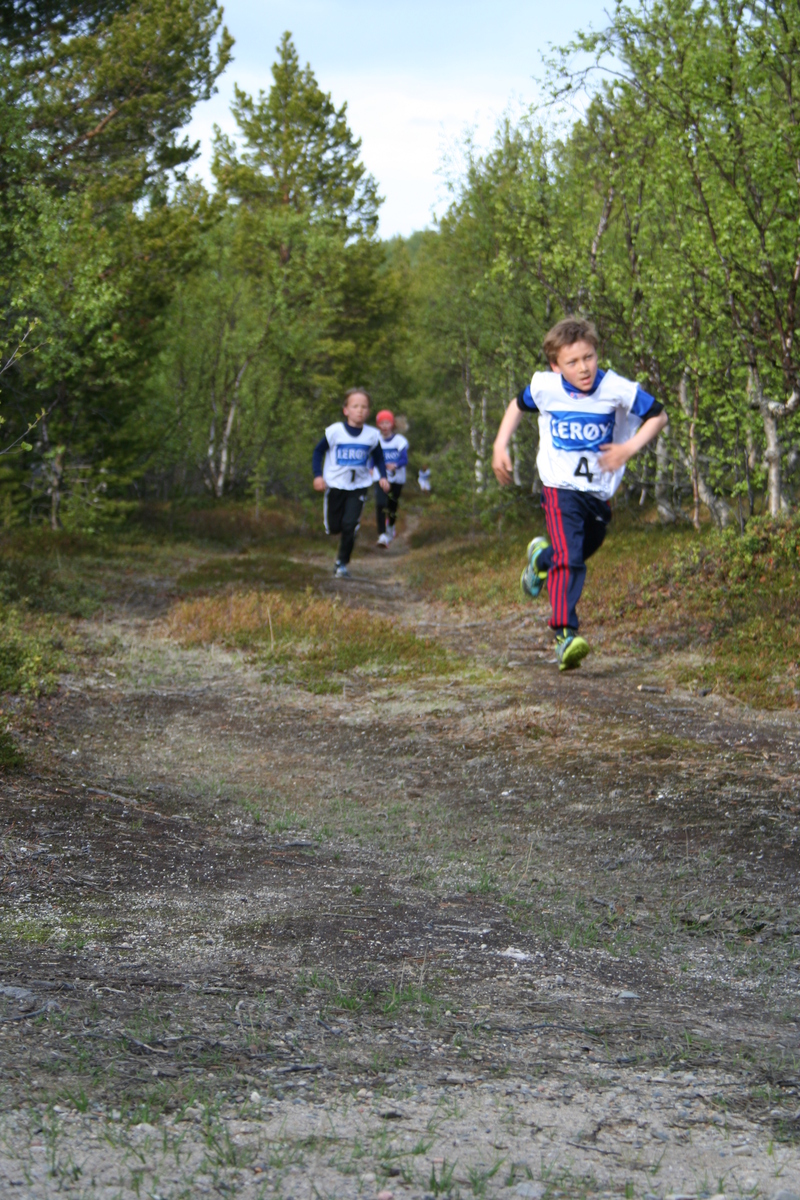 reisajogg 038