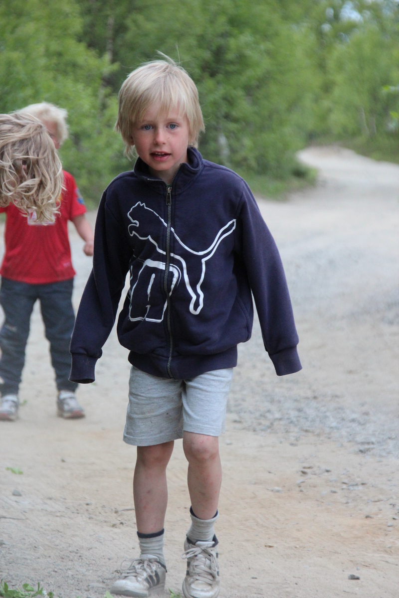 Reisajoggen 233