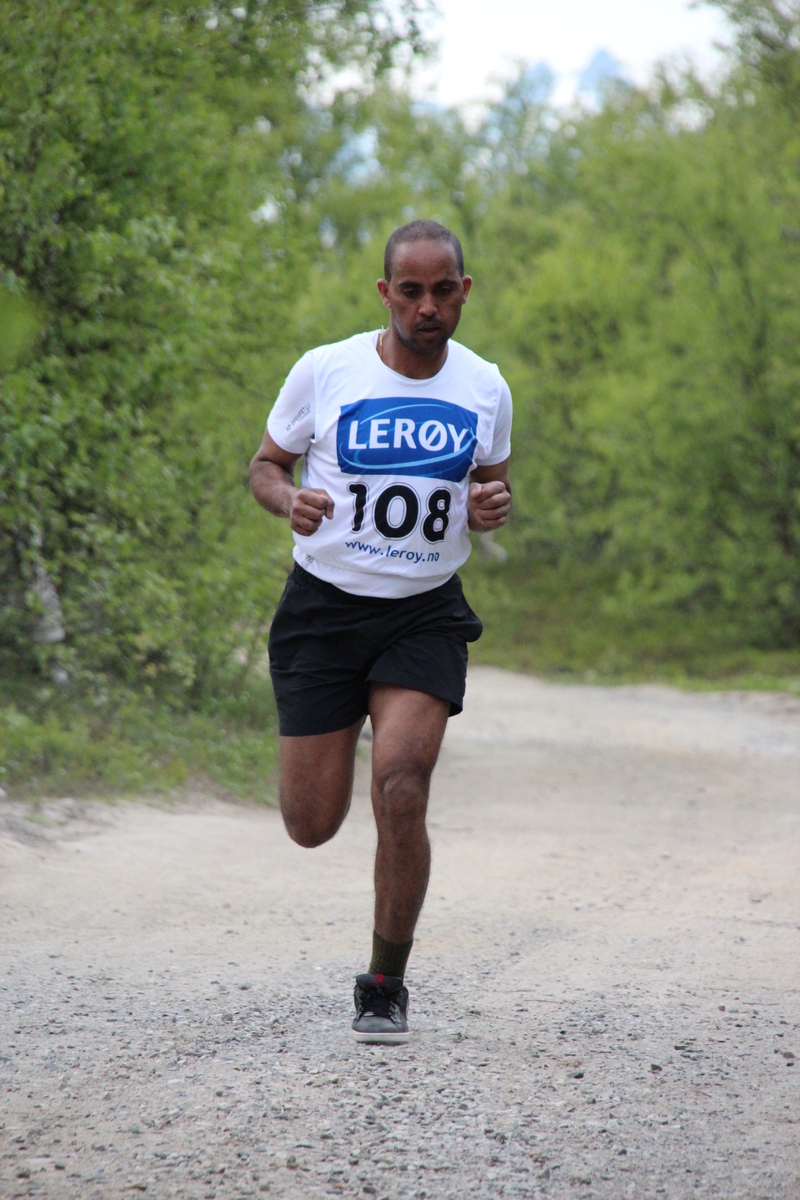 Reisajoggen 241