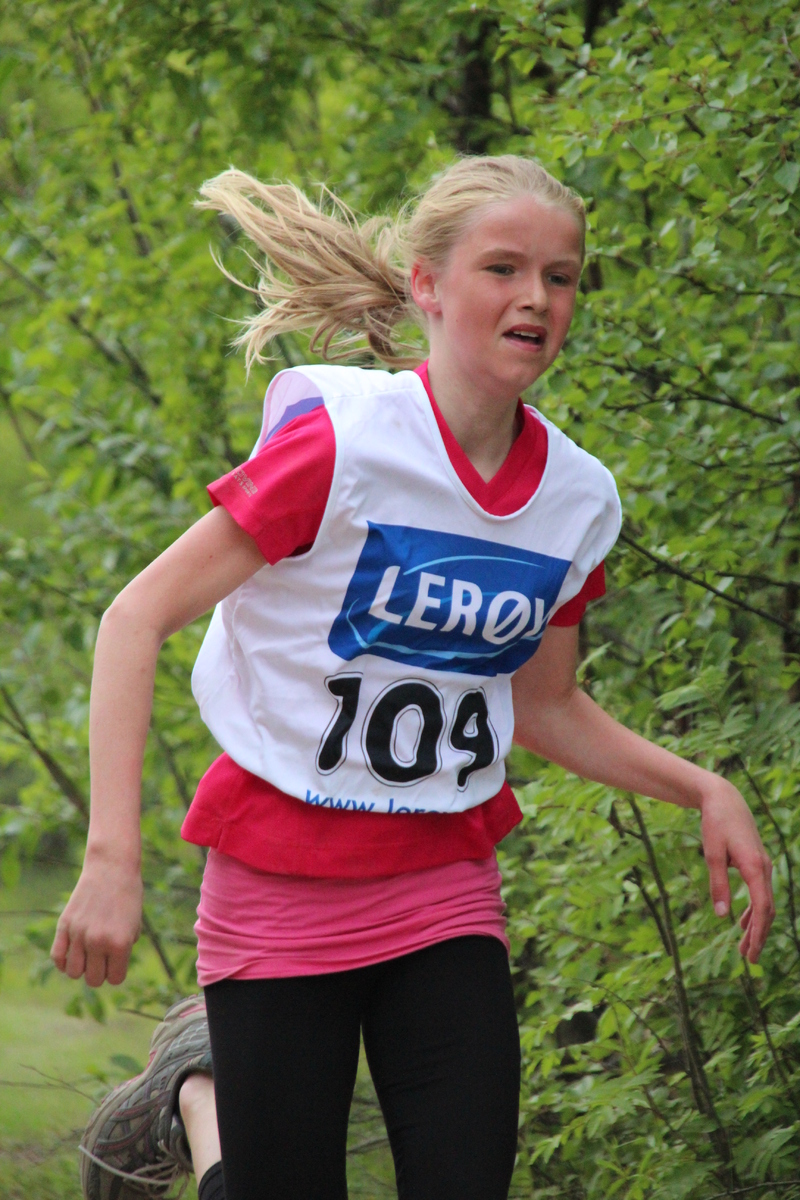 Reisajoggen 246