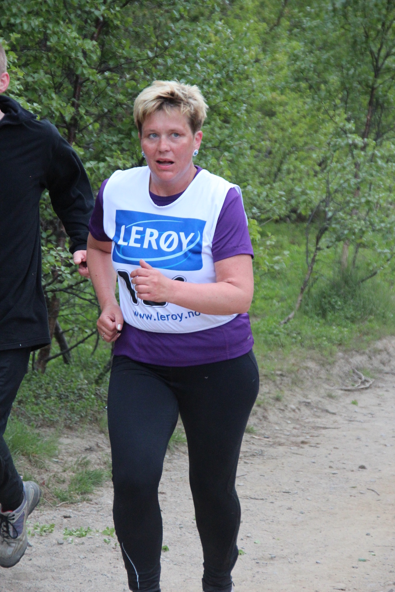 Reisajoggen 371