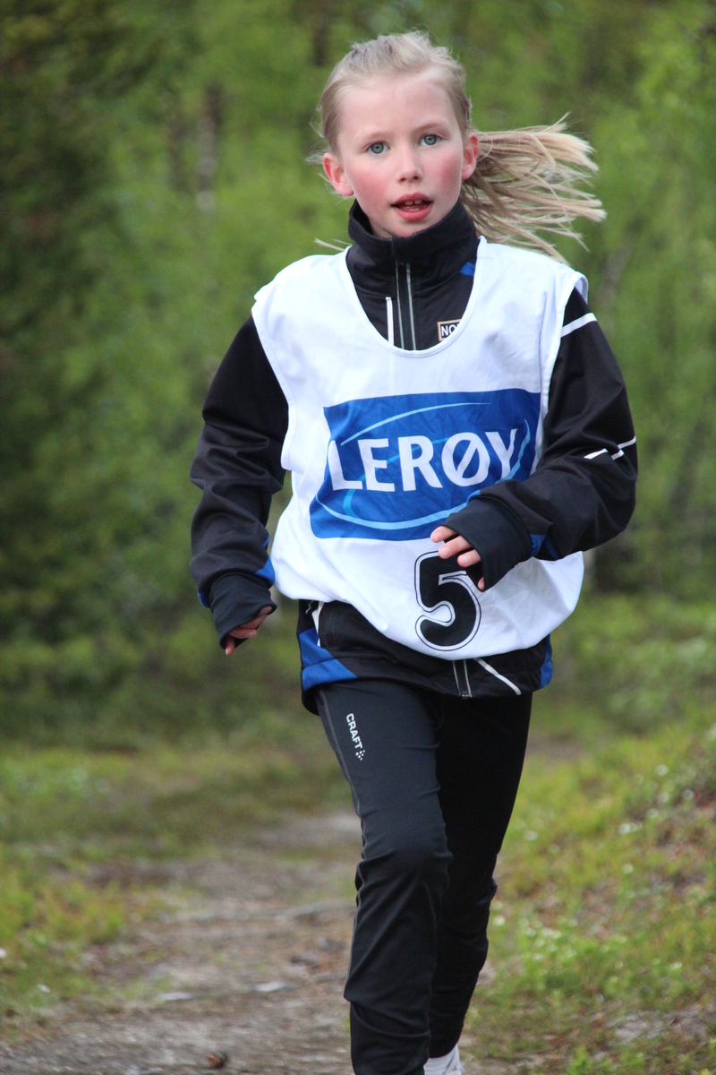 Reisajoggen 6