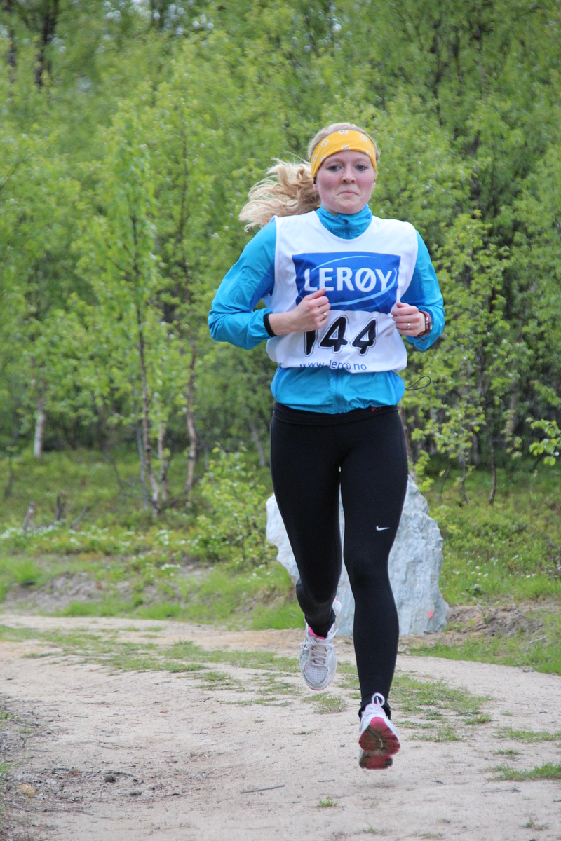 Reisajoggen 329