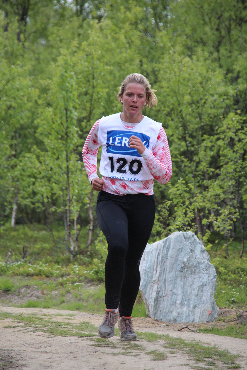 Reisajoggen 342