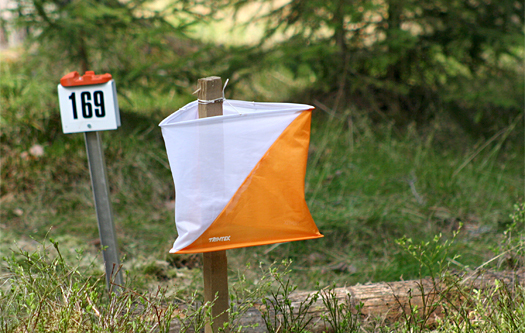 Sistepost fra Pinseløpene på Hedmarken. Foto: Geir Nilsen/OPN.no.
