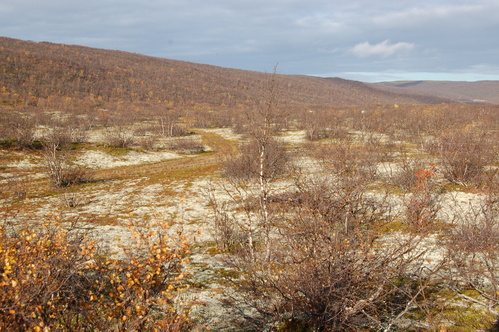 Industriområdet mot nord Industriområdet mot nord
