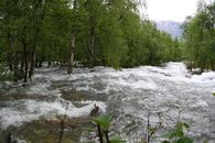 Kielva deles