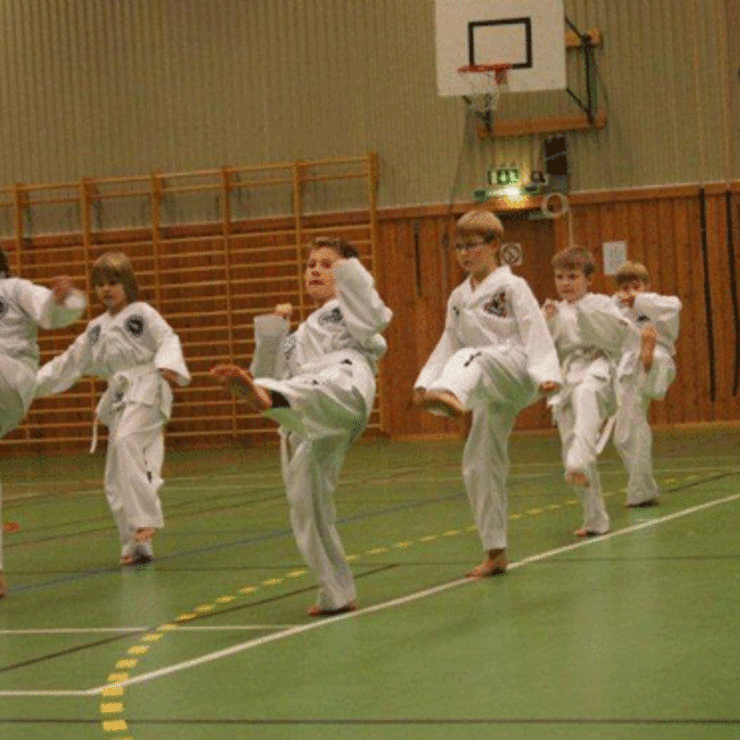 Taekwon-do-1
