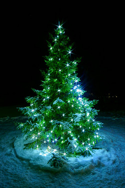 Juletre Juletre