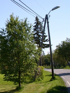 gatelys
