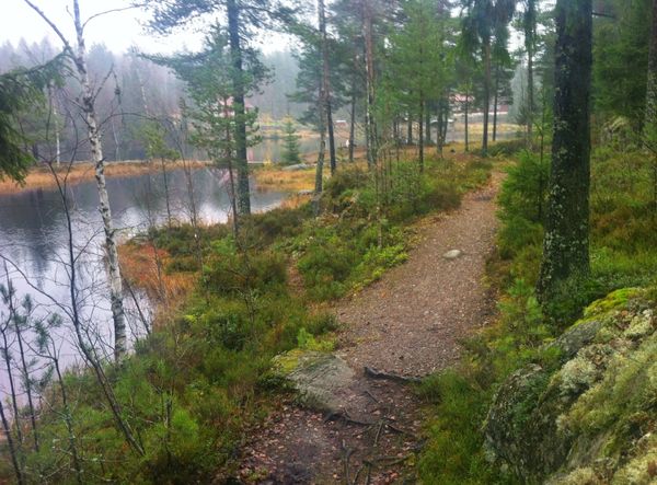 Gravstjern stien