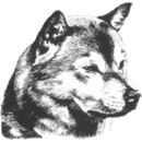 Shiba-No-Kai_snksmall