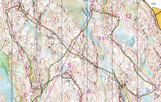 Kartutsnitt fra Smaaleneneløpet 2012, H21 Elite. Arrangør: Indre Østfold OK. Kart: OL Flaggtreff.