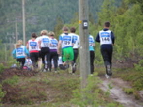 Reisajoggen 228_175x117