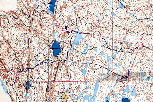 Krogskogstafettens 3. etappe i 1973. Terrenget er øst for Kleivstua i Hole. Kartet, for øvrig i målestokk 1:20.000 heter Retthellseter og var utgitt av IL Tyrving.