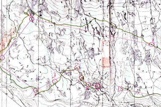 Brorparten av løypa under NM på Vang i 1952. Her med GPS-spor fra Vang-løperes gjennomløping i 2012.