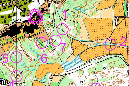 Ukens orienteringsløype i regi av Høgskolen i Finnmark. Kartutsnitt: Alta Orienteringslag.