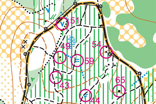 Poster i Tusenmeterskogen i regi av Gimle IF. Kartutsnitt: Gimle IF.