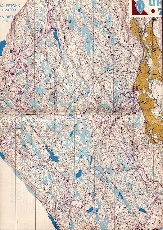 Kartet fra NM i 1972. Det er veivalgen til Geir Høsteland og Else Beitnes som er vist. Kartet var i 1: 20 000, først i 1975 ble 1: 15 000 brukt i normal-NM.