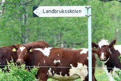 Landbruksskolen