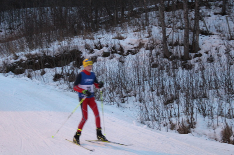 TDR 2012 010