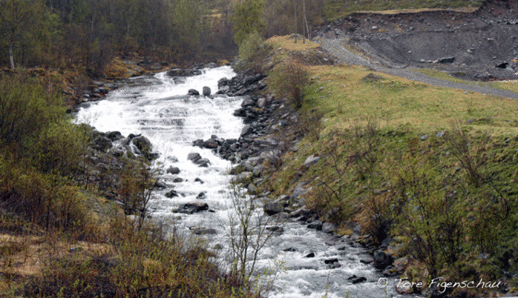 Dallu-elva46Kjeldalselva