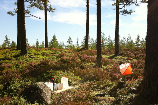 Illustrasjonsbilde fra Holleia Høstløp i regi av Viul OK - Kartlofferne. Foto: Geir Nilsen/OPN.no.