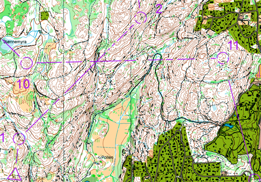 Utsnitt herrer senior (H21) fra Natt-NM 2013 i Ås. Kart: Ås IL.