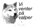 Fyll_VenterPaValper