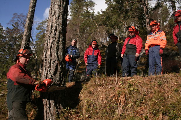 frå motorsagkurs på Målsnes i 2009 frå motorsagkurs på Målsnes i 2009