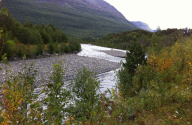 kitdalselva-fra-E6