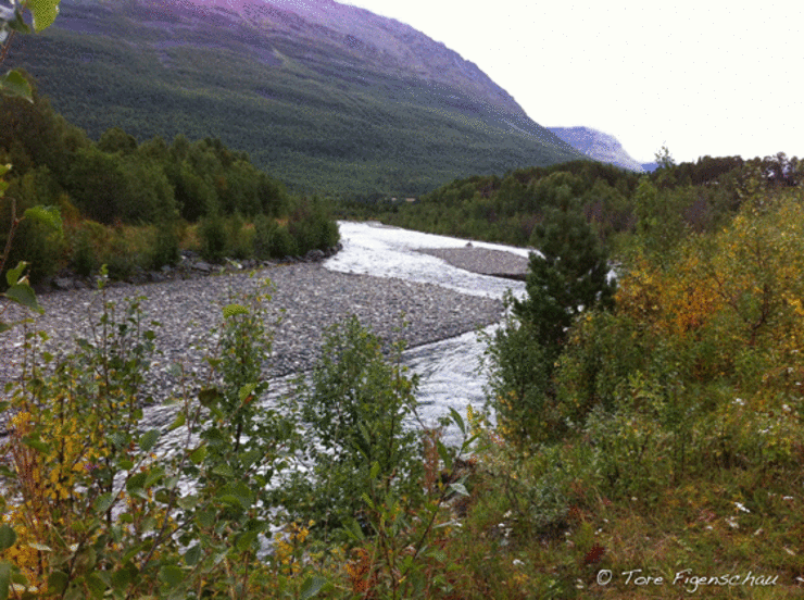 kitdalselva-fra-E6