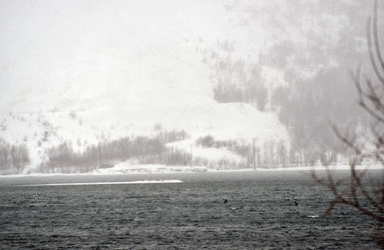 snøskred_akeelva-3614-1