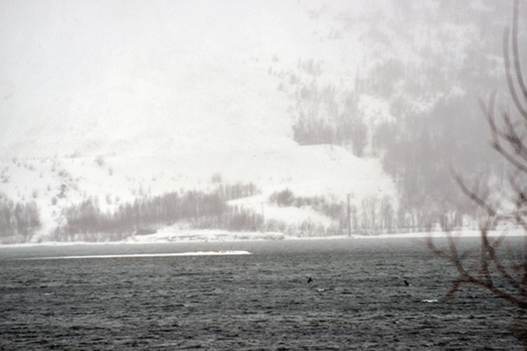 snøskred_akeelva-3614-1