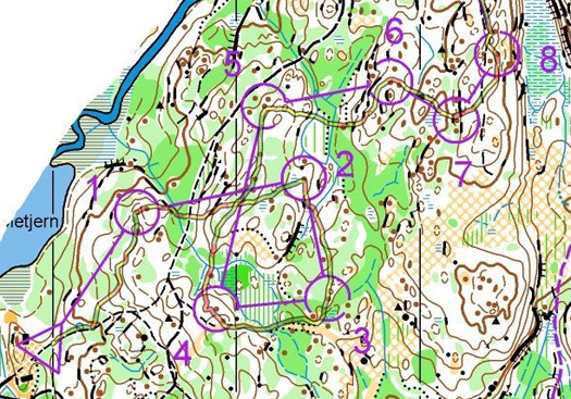 Kartutsnitt fra treningstur Anders B. Øksenholt har hatt i Sørmarka søndag 23. mars 2014. Kilde: Nydalens Skiklub sitt digitale kartarkiv.